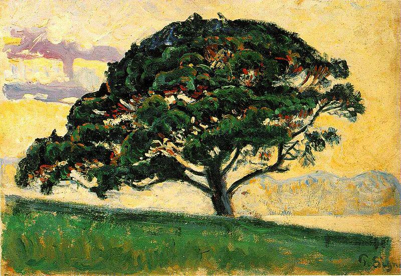Paul Signac The Pine, oil painting image